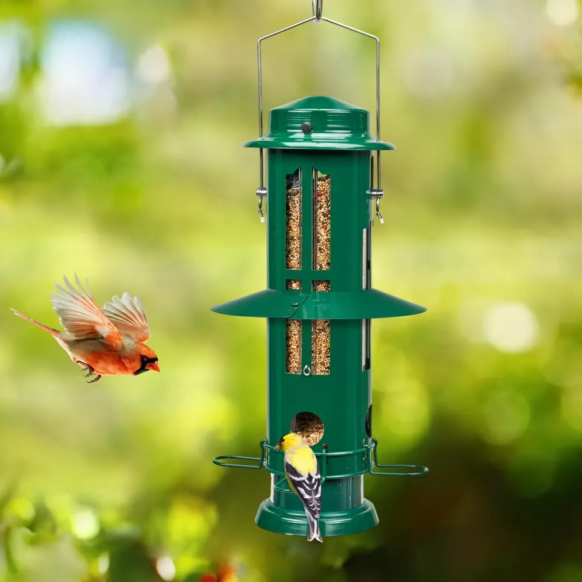 Dark Green Kingsyard Squirrel Proof Pro Bird Feeder 6