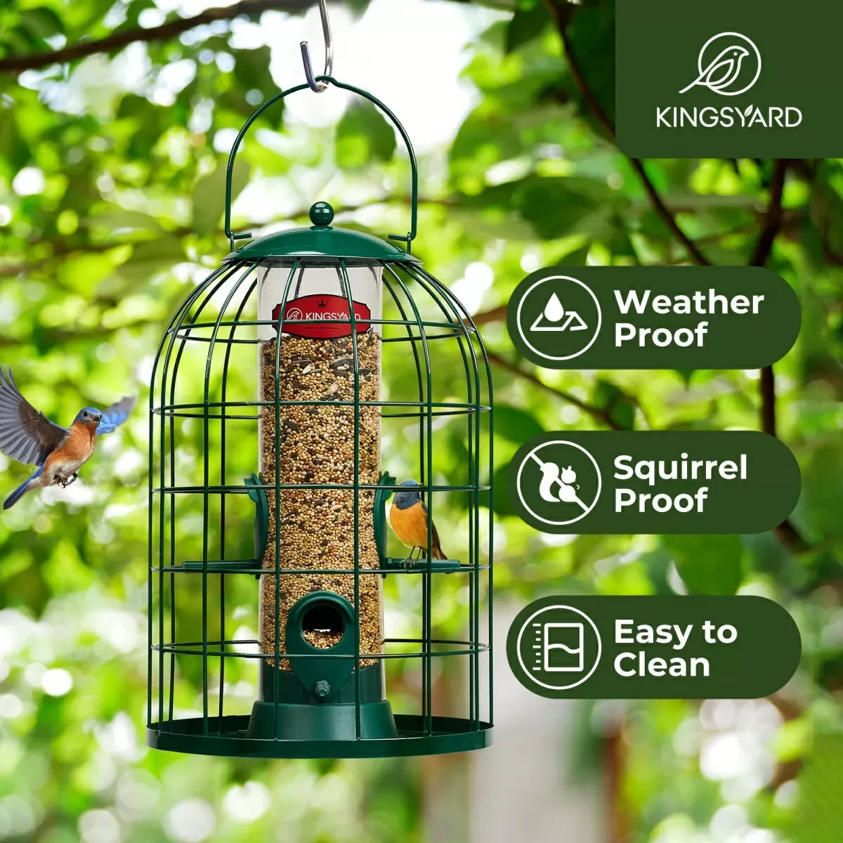 Kingsyard Caged Squirrel Proof Tube Feeder with Rainproof Design 7