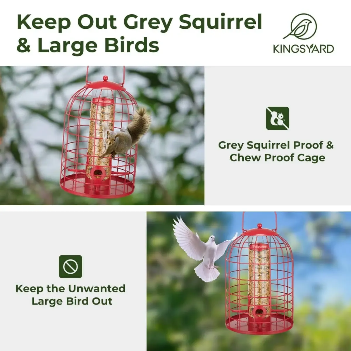 Red Kingsyard Caged Squirrel Proof Tube Feeder with Rainproof Design 5