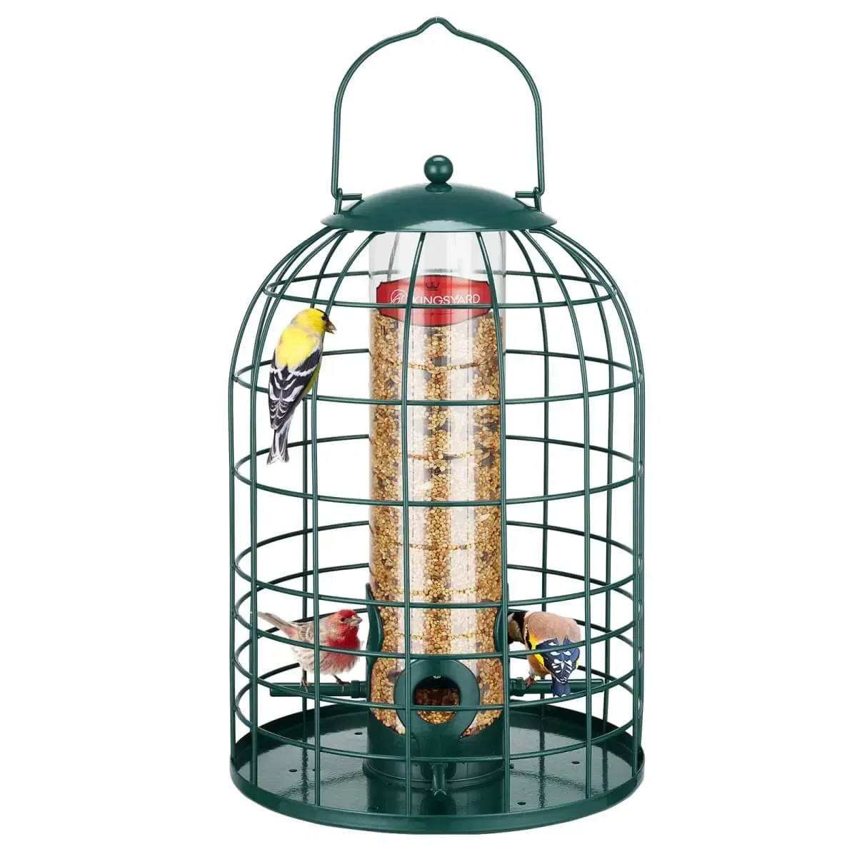Dark Green Kingsyard Caged Squirrel Proof Tube Feeder with Rainproof Design 2