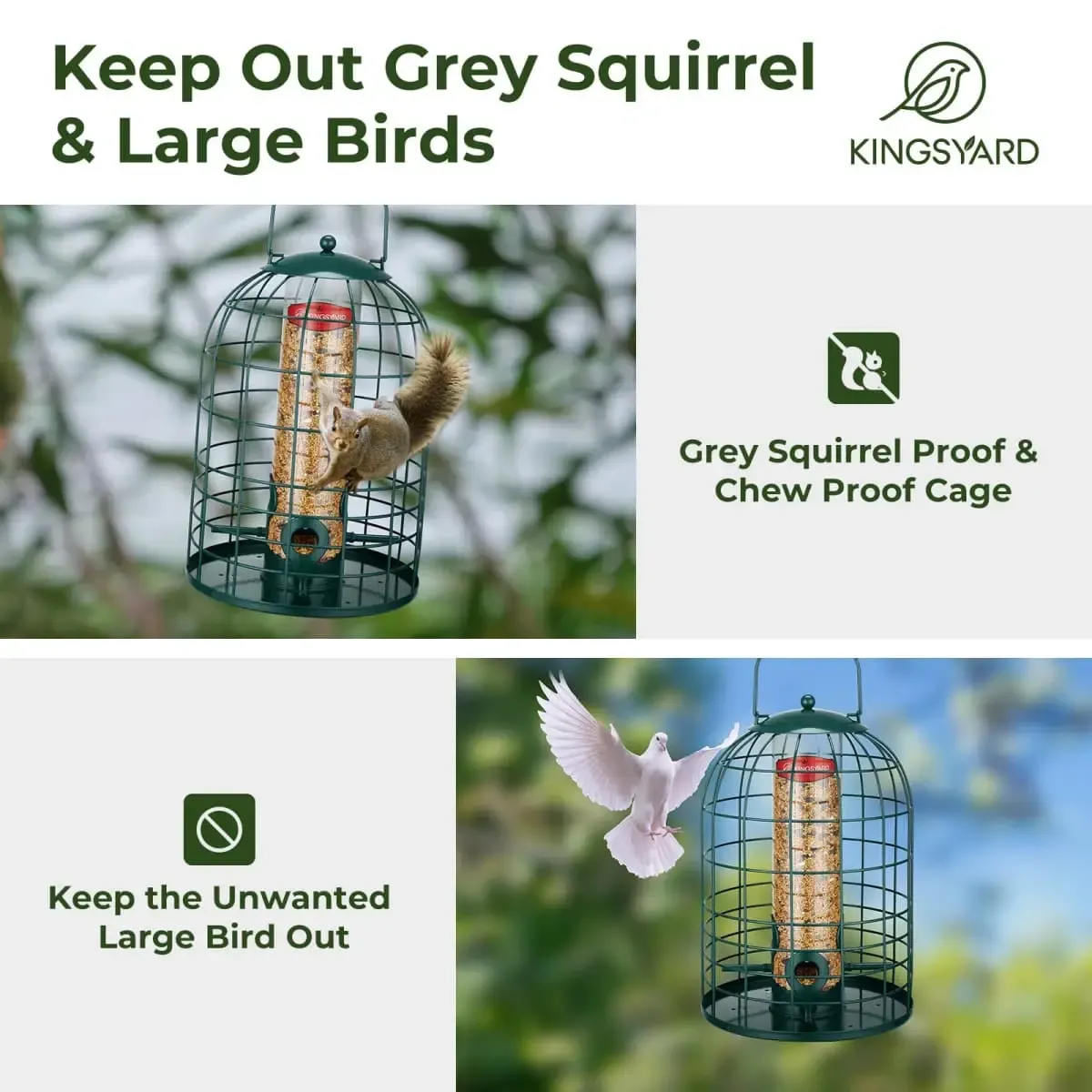 Dark Green Kingsyard Caged Squirrel Proof Tube Feeder with Rainproof Design 5