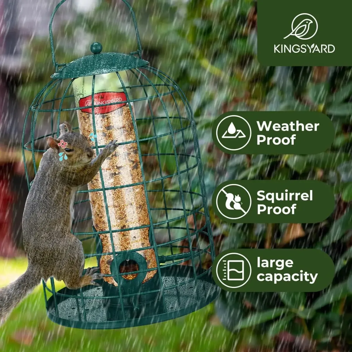 Kingsyard Caged Squirrel Proof Tube Feeder with Rainproof Design 8 Kingsyard Caged Squirrel Proof Tube Feeder with Rainproof Design 8