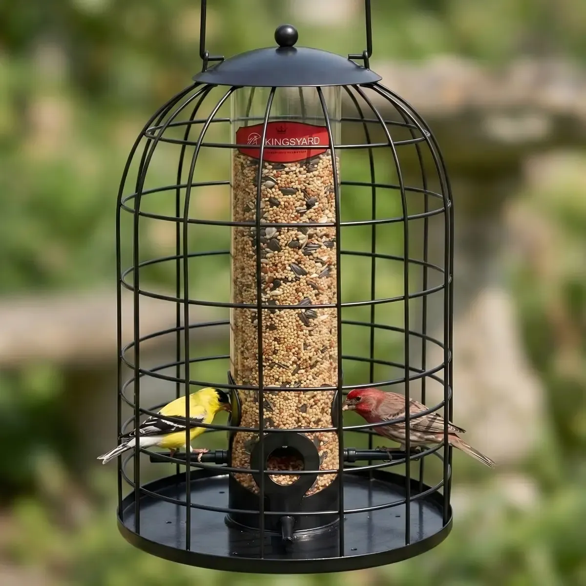 Black Kingsyard Caged Squirrel Proof Tube Feeder with Rainproof Design 1 Black Kingsyard Caged Squirrel Proof Tube Feeder with Rainproof Design 1