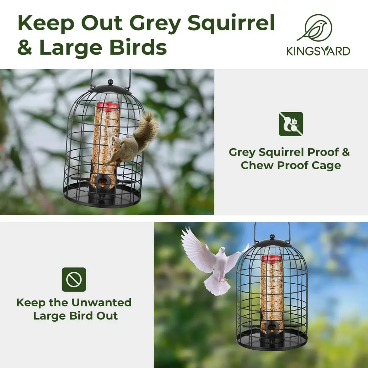 Black Kingsyard Caged Squirrel Proof Tube Feeder with Rainproof Design 5 Black Kingsyard Caged Squirrel Proof Tube Feeder with Rainproof Design 5