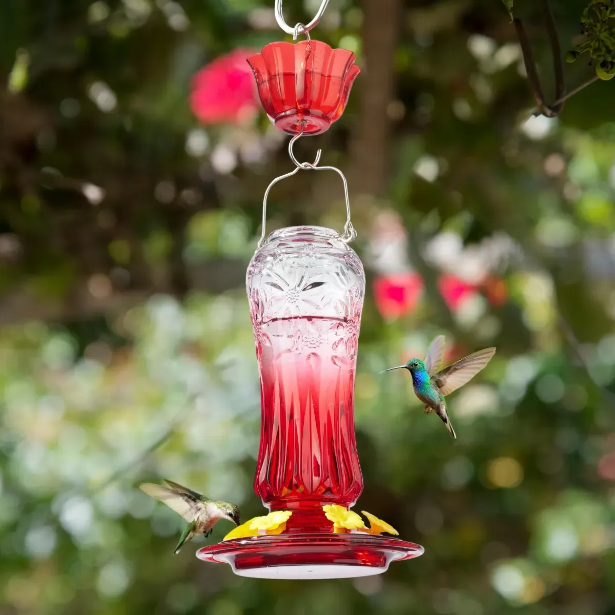 Kingsyard 24oz Glass Hummingbird Feeder with Ant Moat