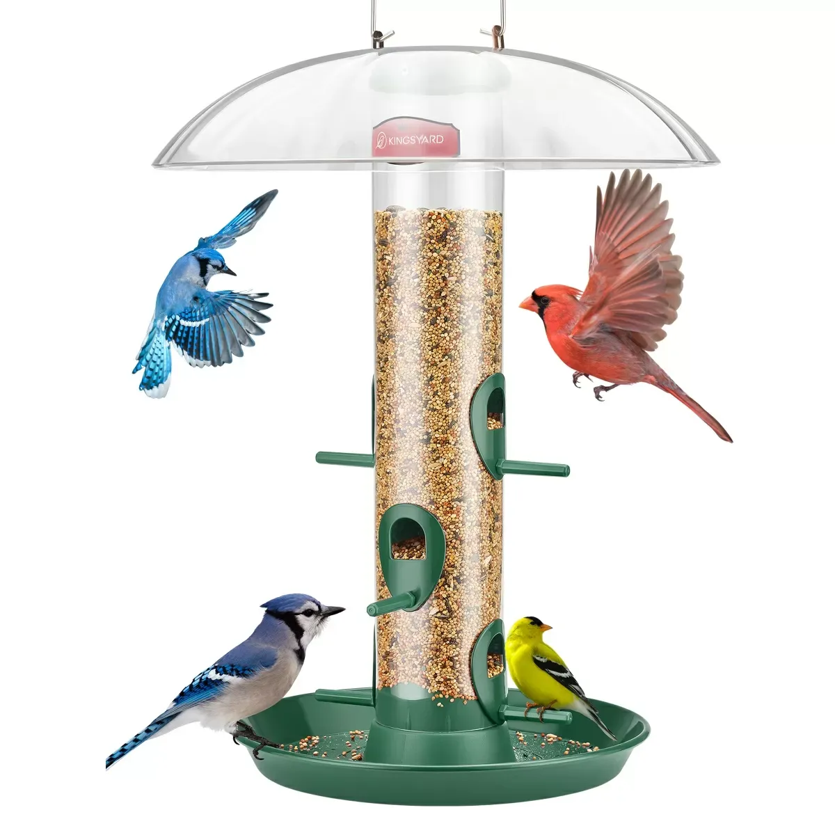 Kingsyard Weatherproof Metal Tube Feeder with Dome 2 Kingsyard Weatherproof Metal Tube Feeder with Dome 2