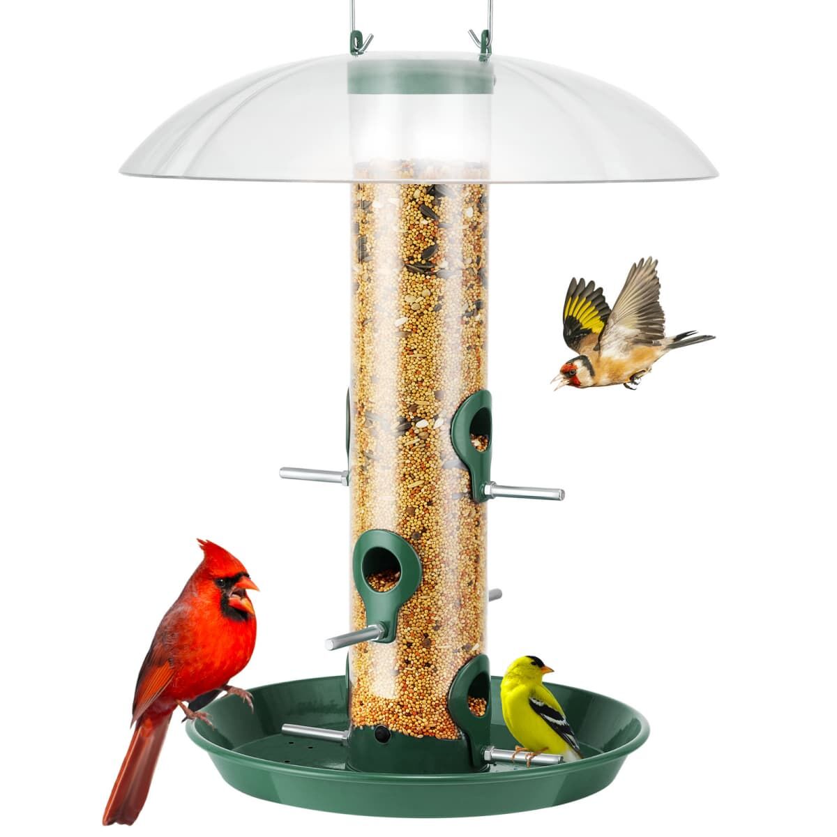 Kingsyard Weatherproof Metal Tube Feeder with Dome 2