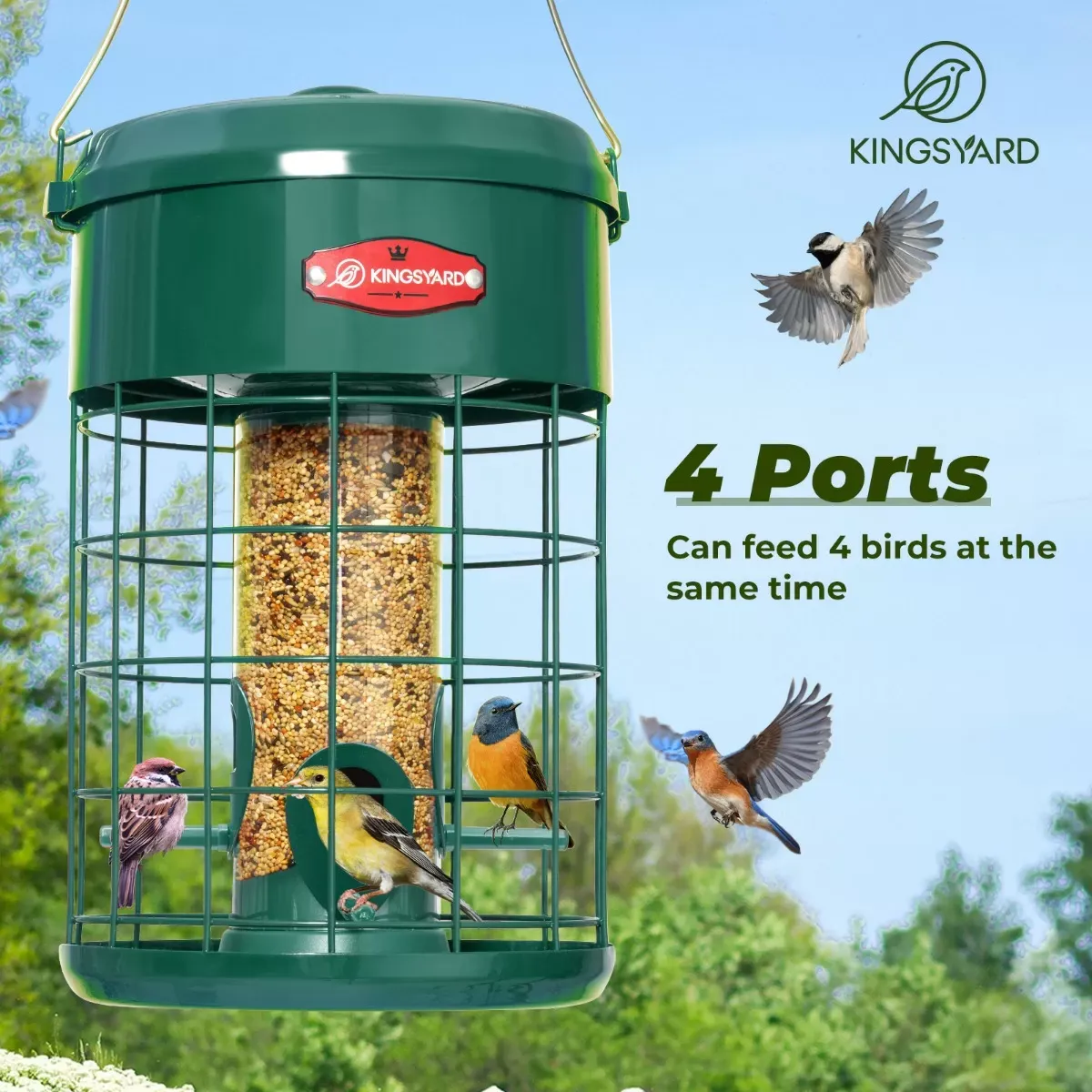 Kingsyard Caged Squirrel Proof Tube Feeder with Weatherproof Design 7