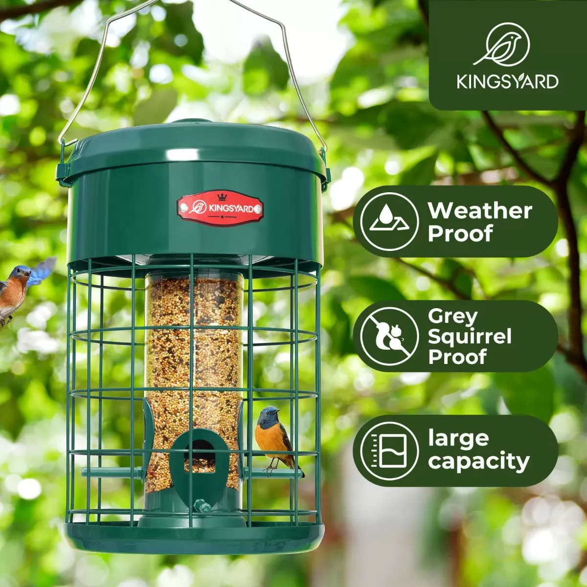 Kingsyard Caged Squirrel Proof Tube Feeder with Weatherproof Design 8