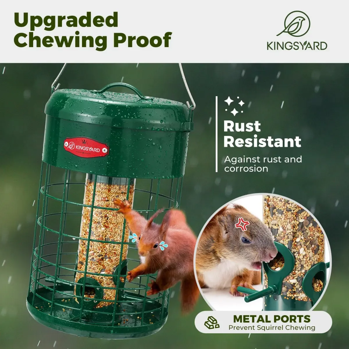 Kingsyard Caged Squirrel Proof Tube Feeder with Weatherproof Design 5