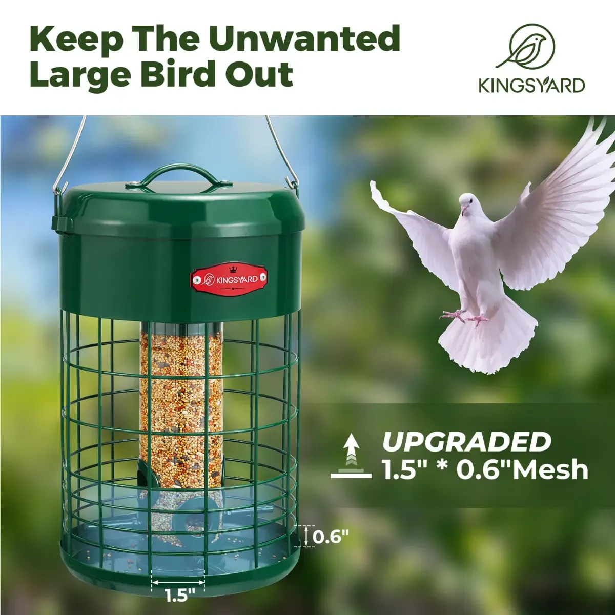 Kingsyard Caged Squirrel Proof Tube Feeder with Weatherproof Design 6