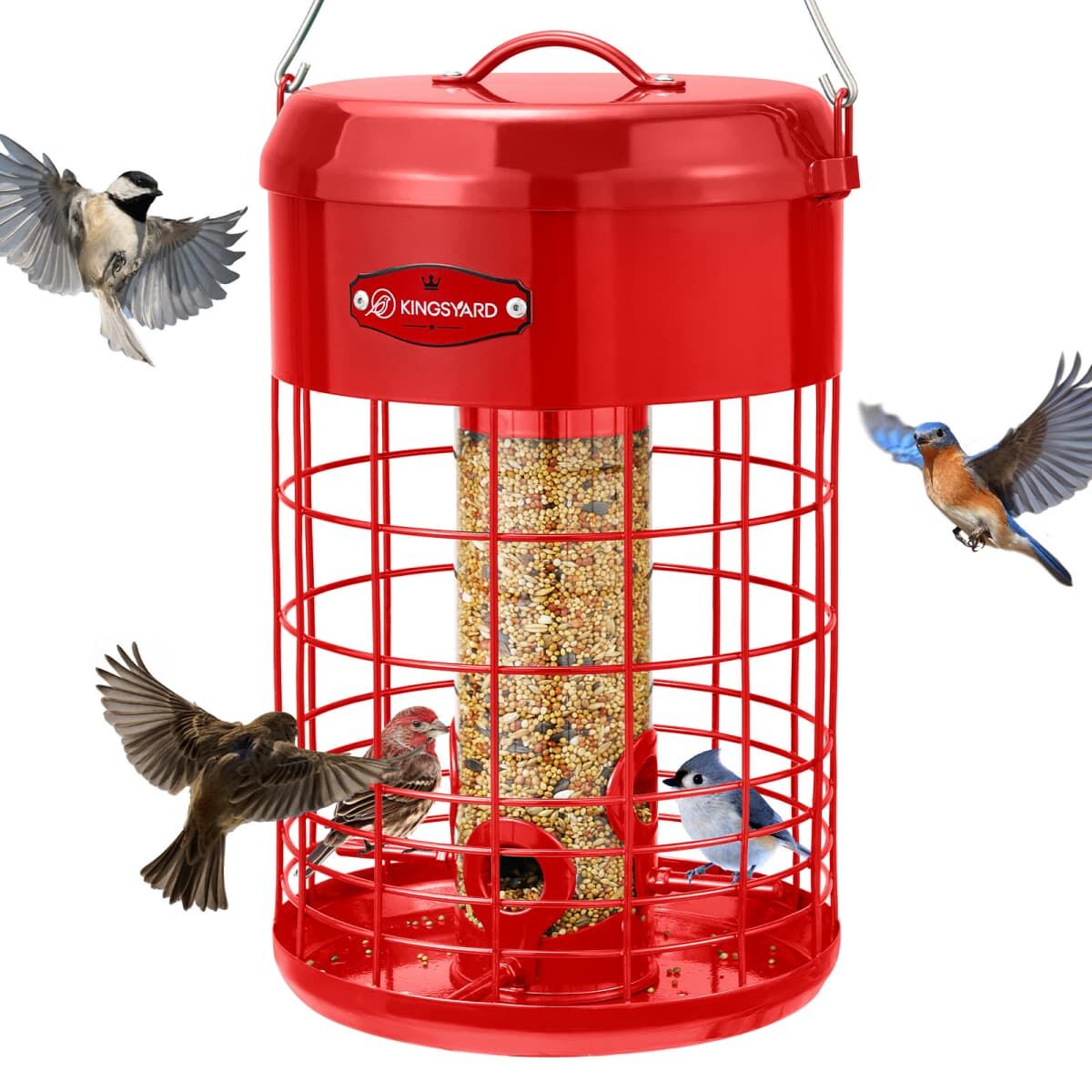 Red Kingsyard Caged Squirrel Proof Tube Feeder with Weatherproof Design 2 Red Kingsyard Caged Squirrel Proof Tube Feeder with Weatherproof Design 2