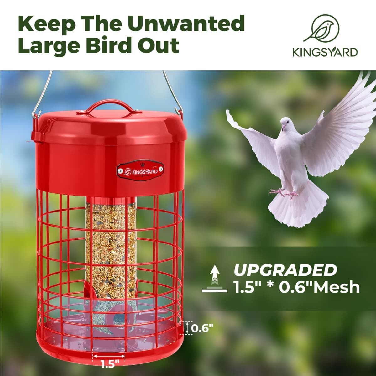 Red Kingsyard Caged Squirrel Proof Tube Feeder with Weatherproof Design 5 Red Kingsyard Caged Squirrel Proof Tube Feeder with Weatherproof Design 5