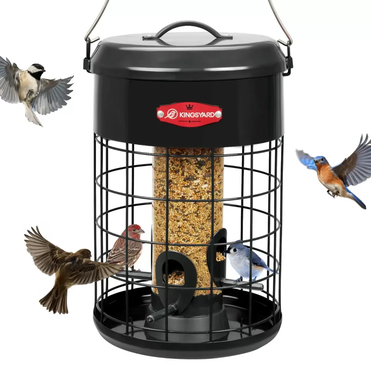 Kingsyard Caged Squirrel Proof Tube Feeder with Weatherproof Design 4