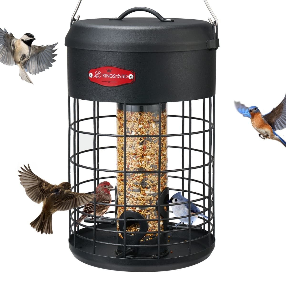 Black Kingsyard Caged Squirrel Proof Tube Feeder with Weatherproof Design 2