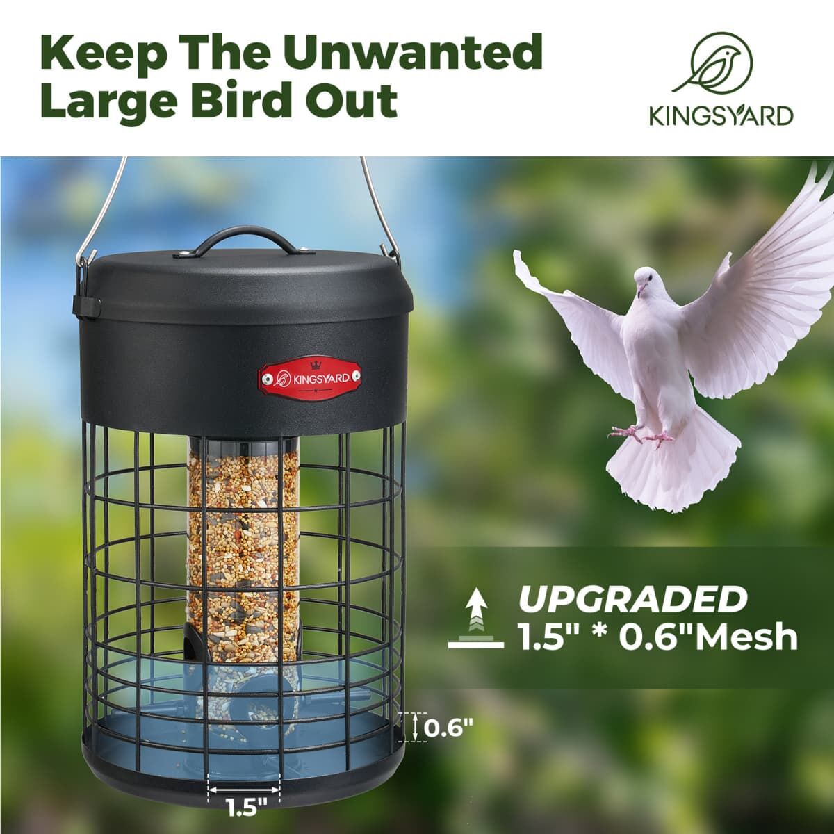 Black Kingsyard Caged Squirrel Proof Tube Feeder with Weatherproof Design 5