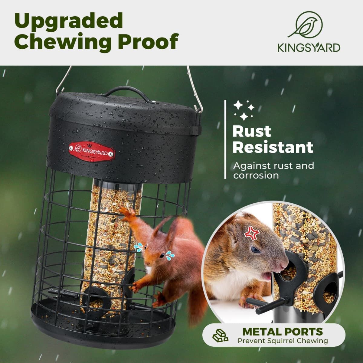 Black Kingsyard Caged Squirrel Proof Tube Feeder with Weatherproof Design 6