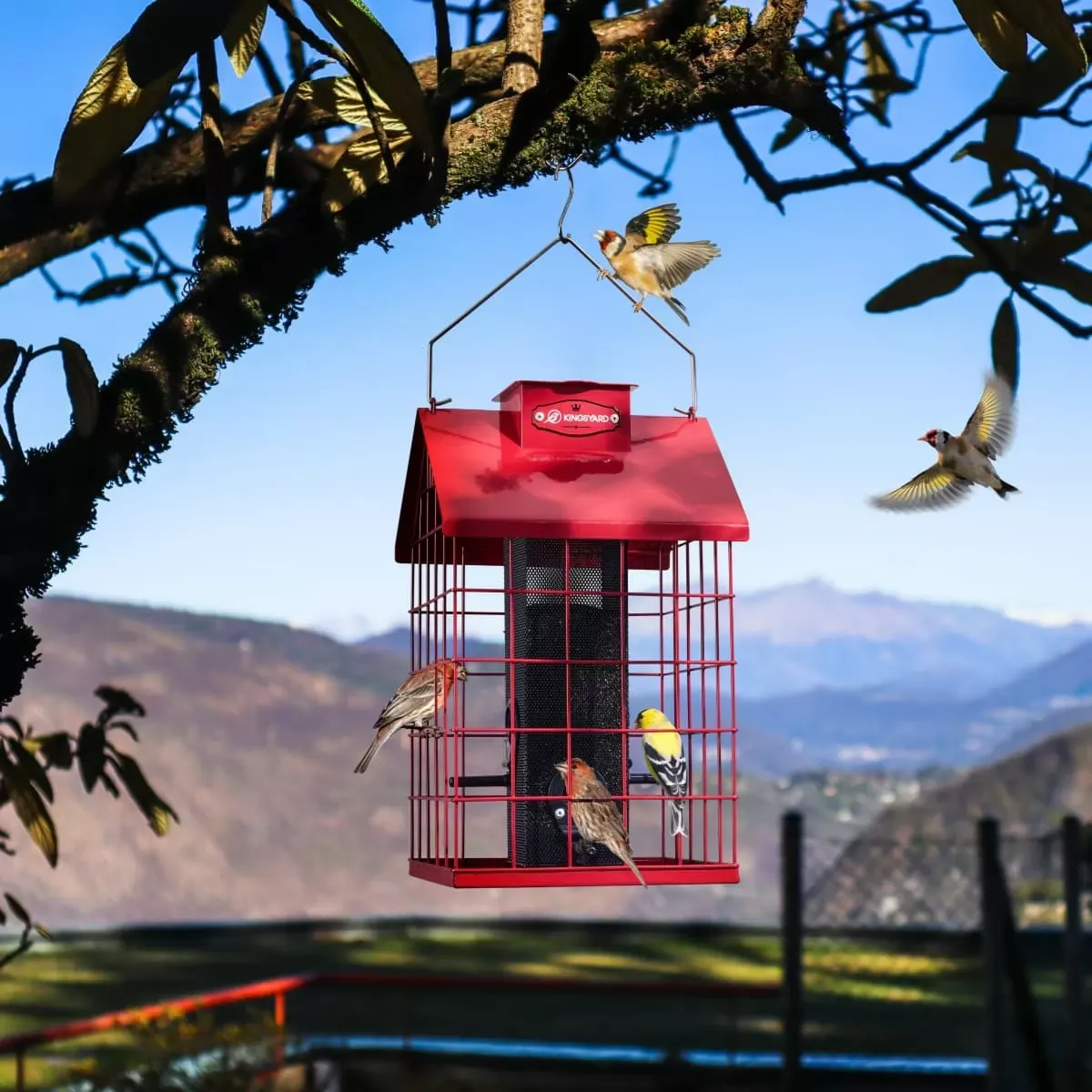 Red Kingsyard Weatherproof Caged Squirrel Proof Bird Feeder 6
