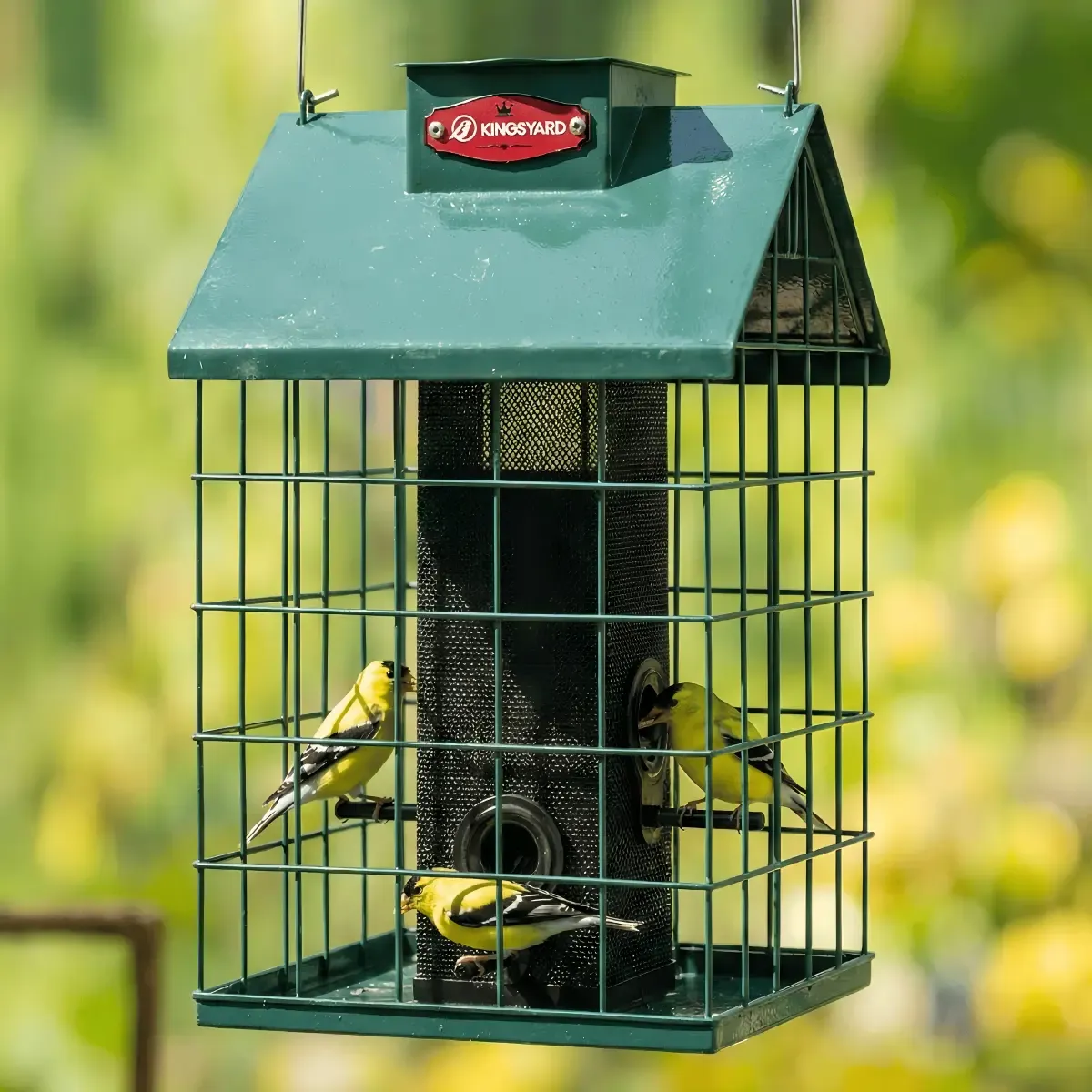 Kingsyard Weatherproof Caged Squirrel Proof Bird Feeder