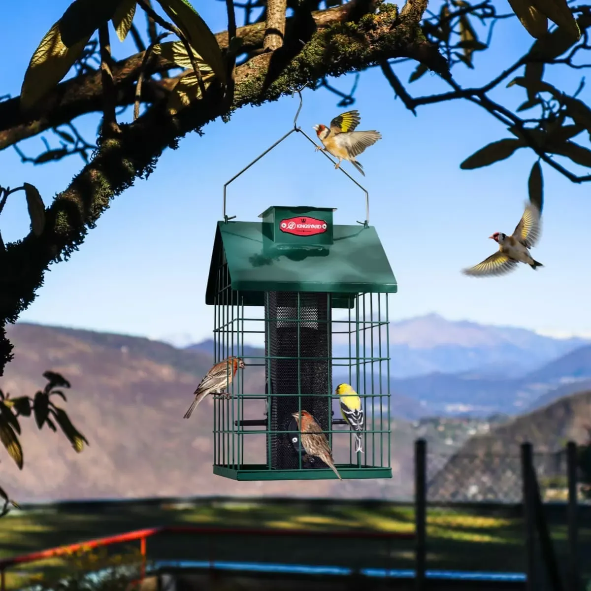 Green Kingsyard Weatherproof Caged Squirrel Proof Bird Feeder 6