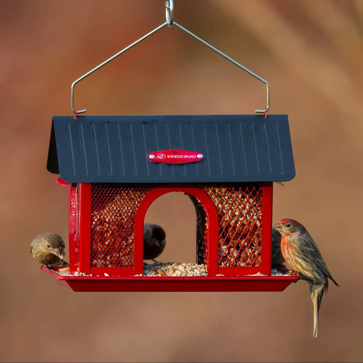 Kingsyard Weatherproof Metal Mesh Hopper Bird Feeder