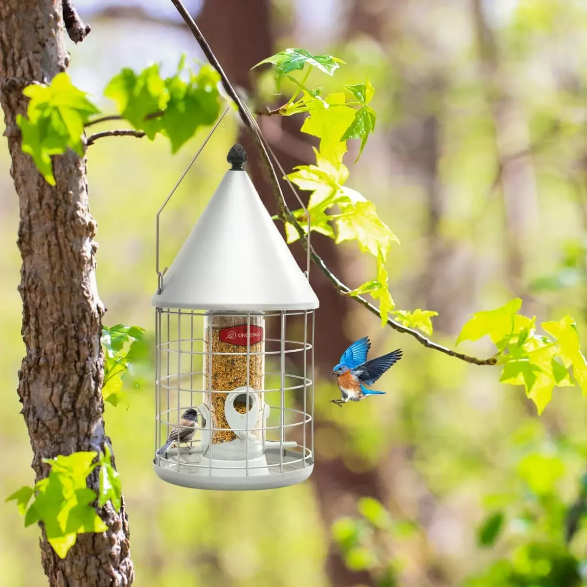 Silver Kingsyard Caged Squirrel Proof Tube Bird Feeder with Rainproof Dome 6