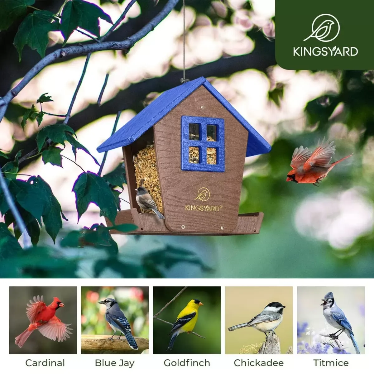 Blue Kingsyard Weatherproof Large Capacity Hopper Bird Feeder 4 Blue Kingsyard Weatherproof Large Capacity Hopper Bird Feeder 4