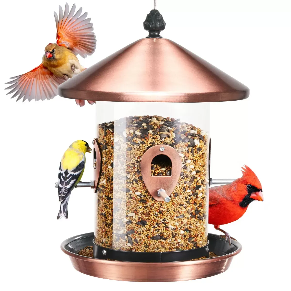 Antique Copper Kingsyard Weatherproof Tube Bird Feeder with 4 Ports 2