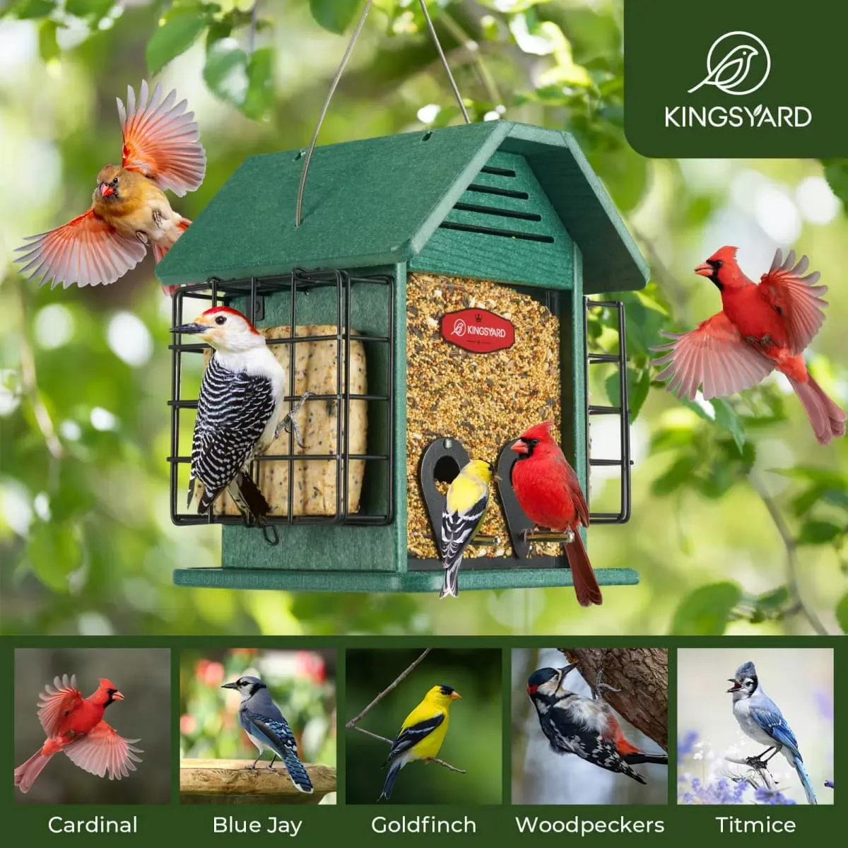 Green Kingsyard 3 in 1 Double Suet Metal Mesh Wild Bird Feeder 6