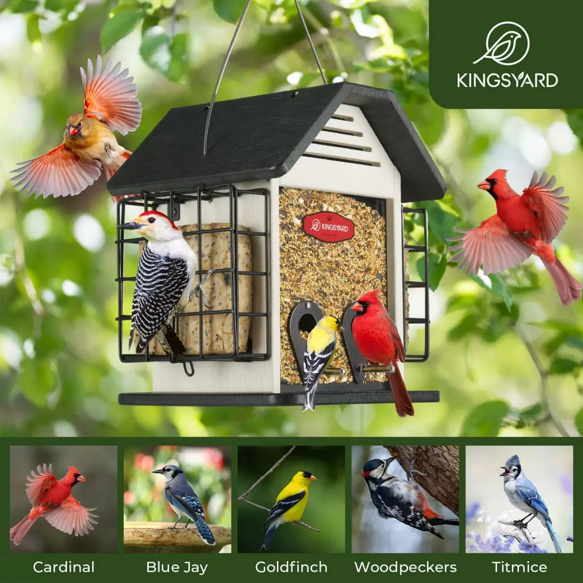 Black Roof & White Window Kingsyard 3 in 1 Double Suet Metal Mesh Wild Bird Feeder 6