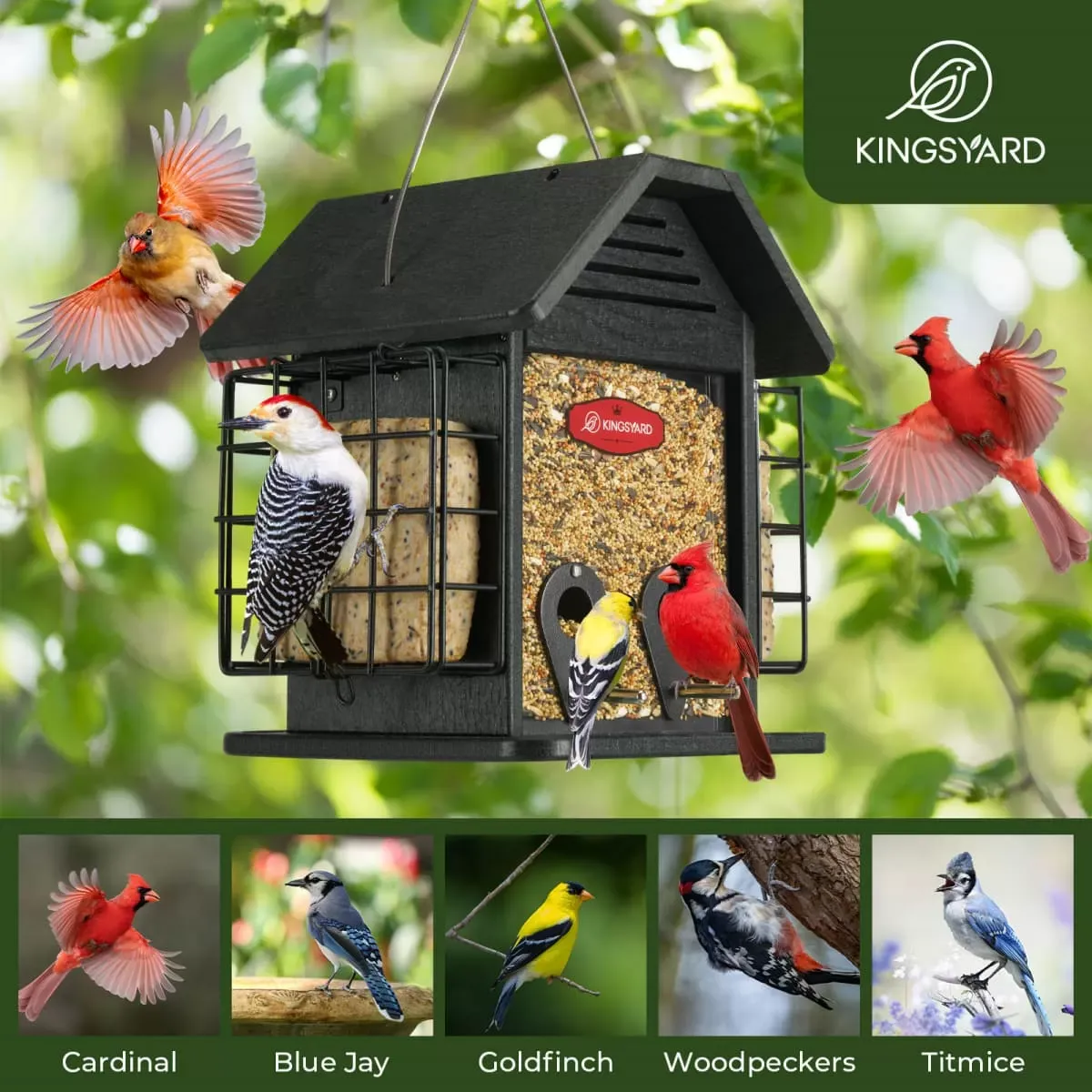 Black Kingsyard 3 in 1 Double Suet Metal Mesh Wild Bird Feeder 6