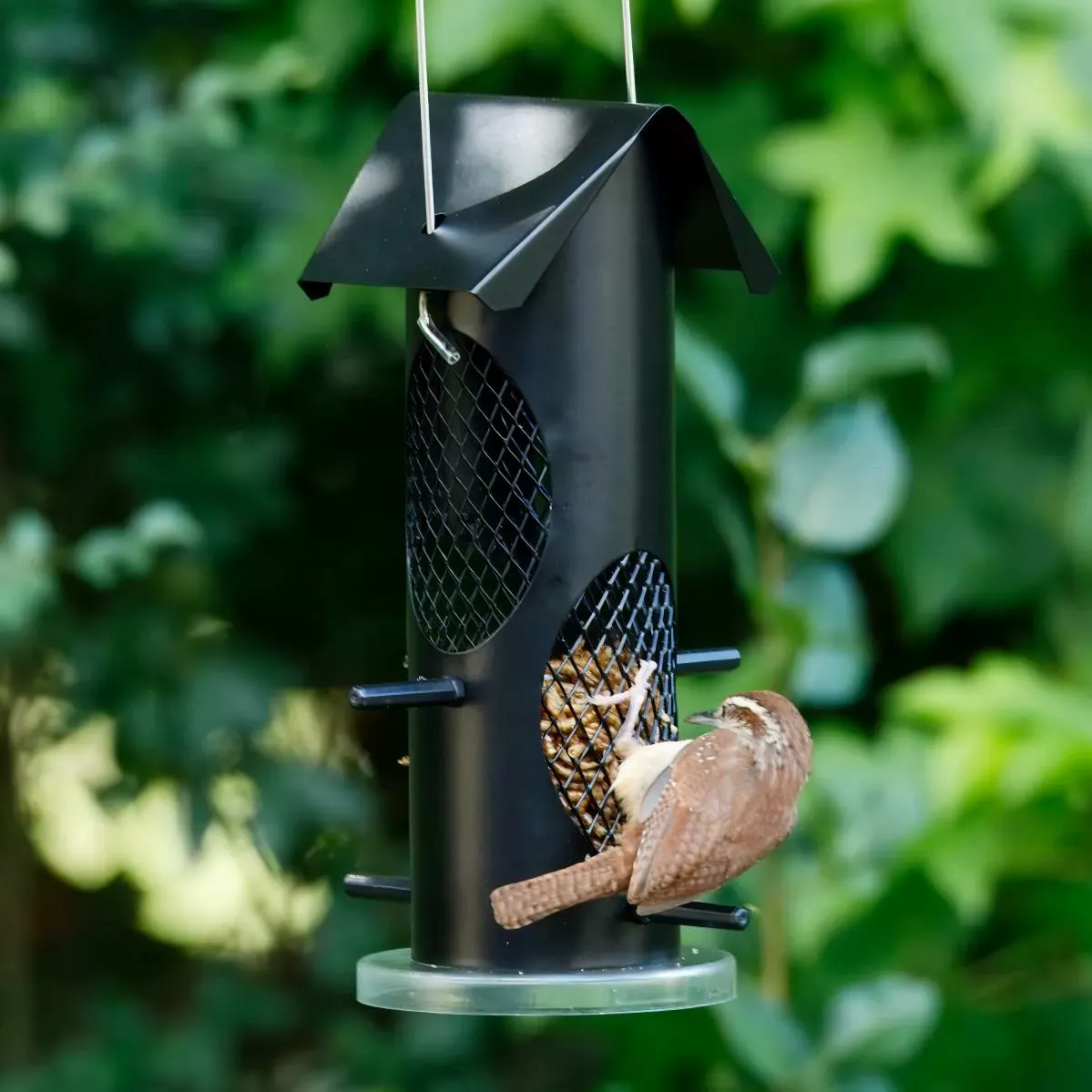Kingsyard Squirrel Proof Mealworm Tube Bird Feeder