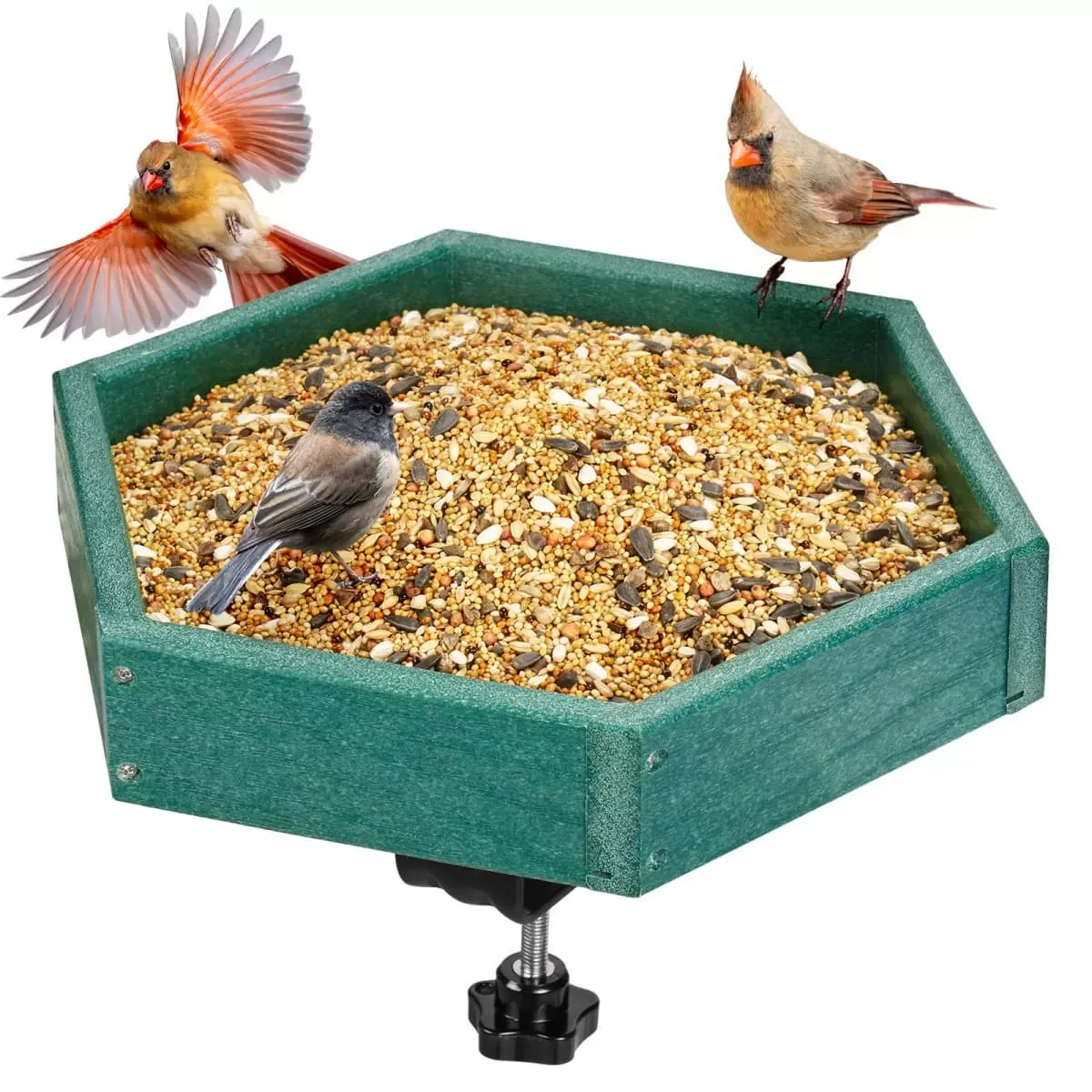 Green Kingsyard Platform Bird Feeder with Freestanding Tray 2 Green Kingsyard Platform Bird Feeder with Freestanding Tray 2