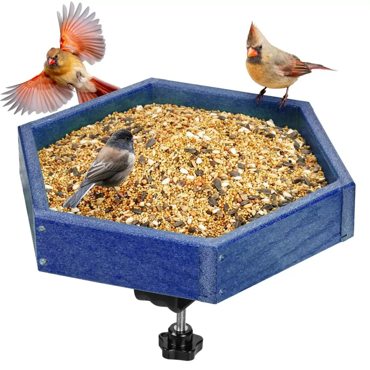 Blue Kingsyard Platform Bird Feeder with Freestanding Tray 2