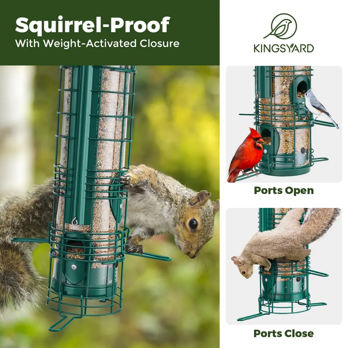 Kingsyard Squirrel Proof Hanging Metal Tube Bird Feeder 6