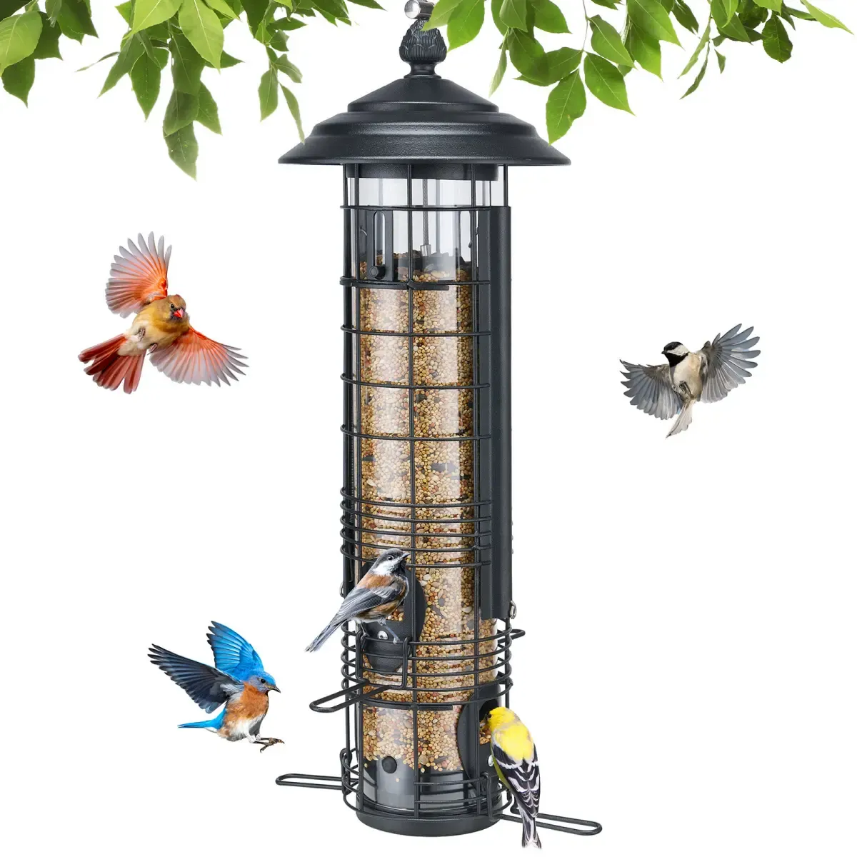 Black Kingsyard Squirrel Proof Hanging Metal Tube Bird Feeder 2