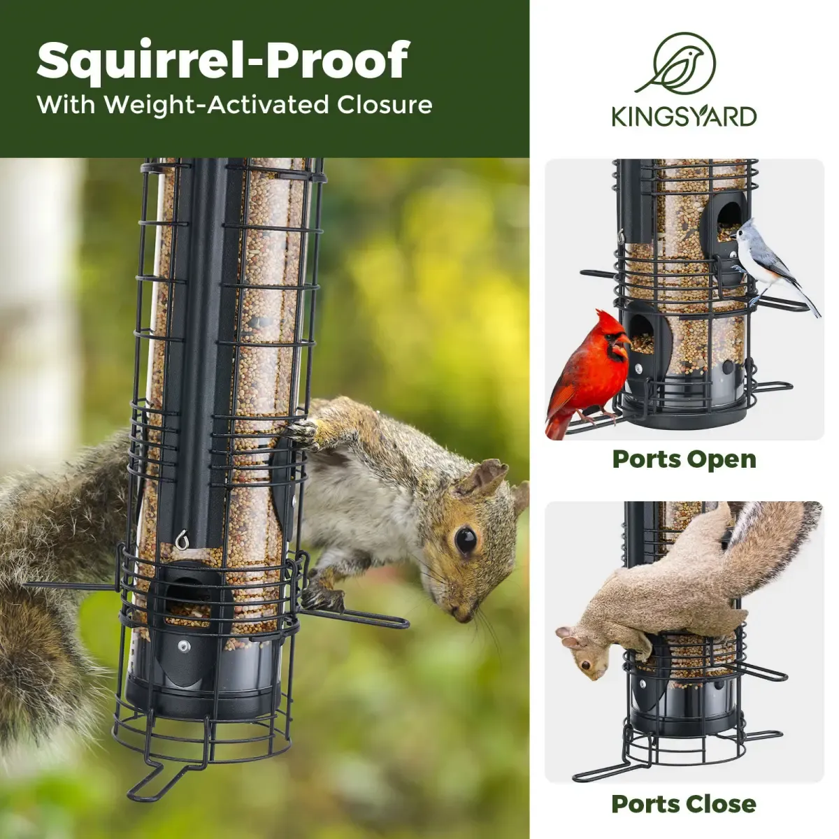 Black Kingsyard Squirrel Proof Hanging Metal Tube Bird Feeder 6