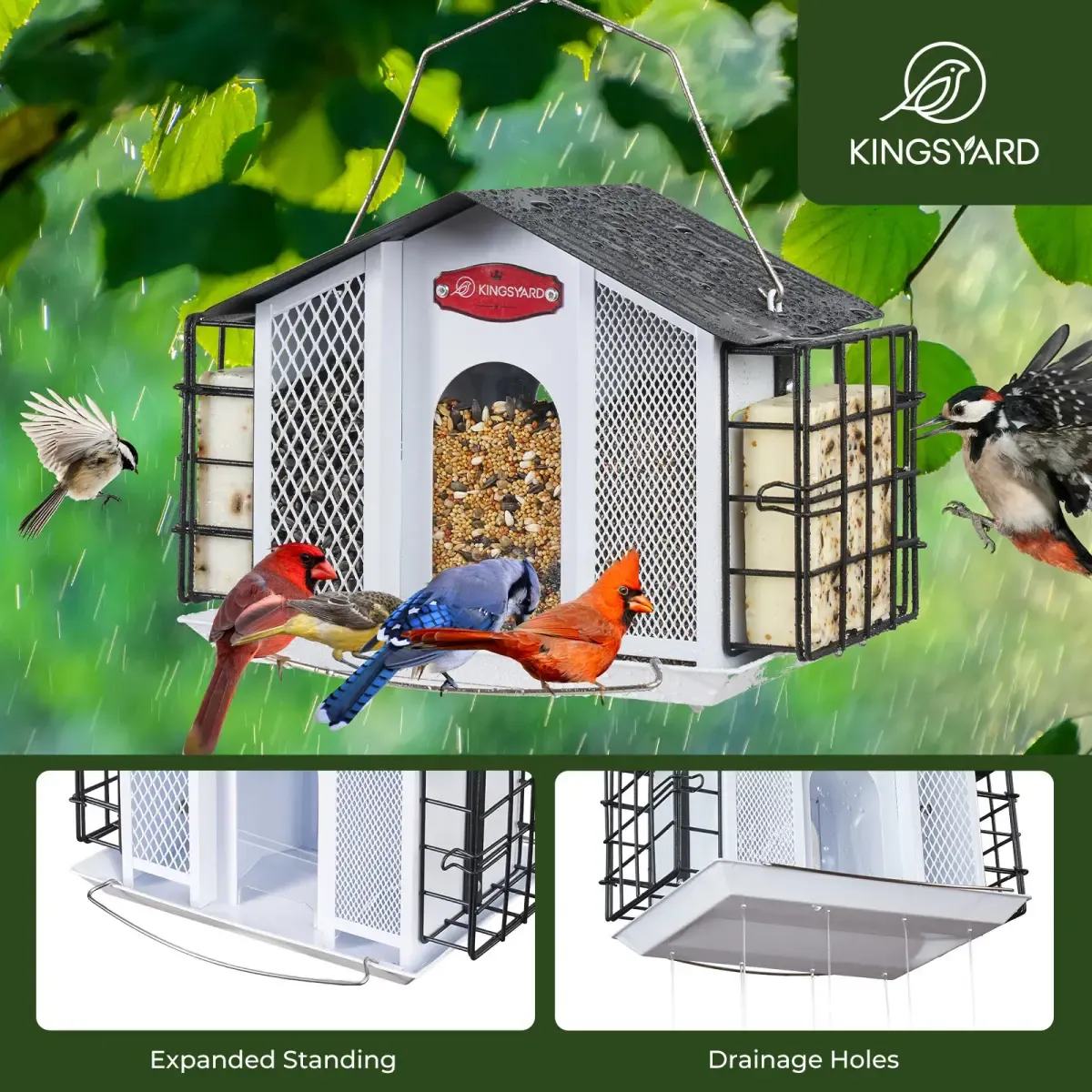 Kingsyard Weatherproof House Bird Feeder with Double Suet Cages 5
