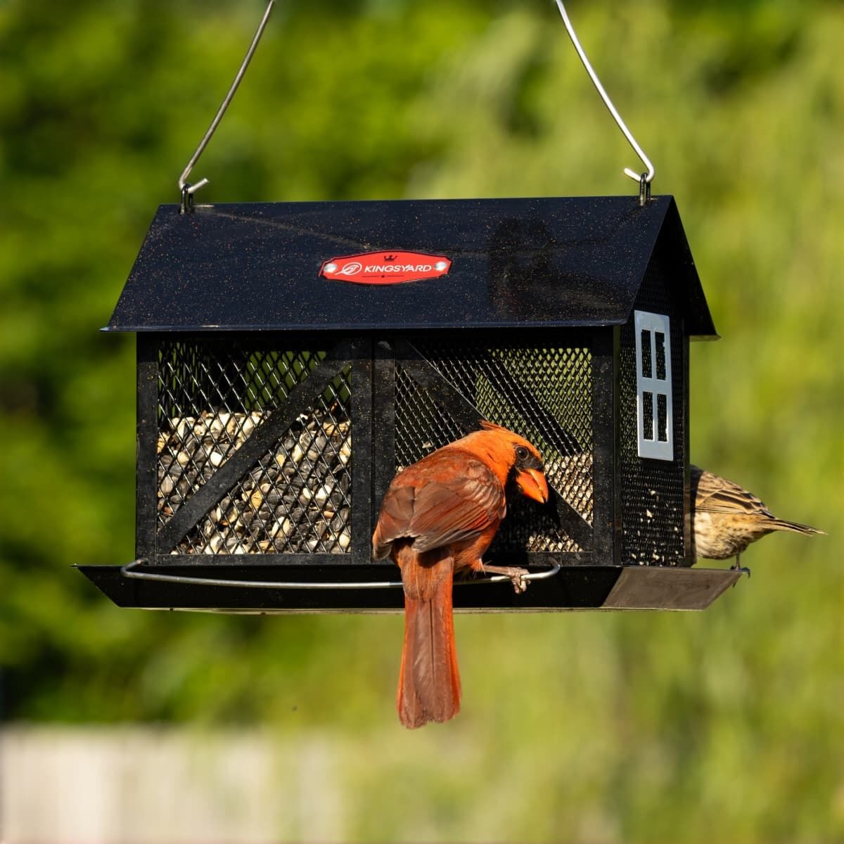 Kingsyard Large Capacity House Bird Feeder with Seed Tray