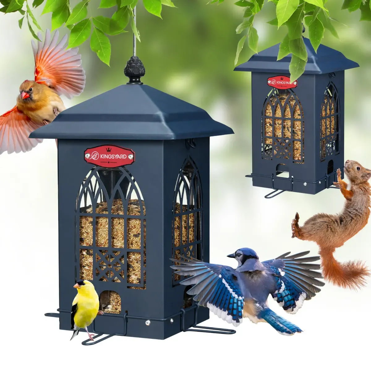 Blue Kingsyard Squirrel Proof Large Capacity Bird Feeder House 2