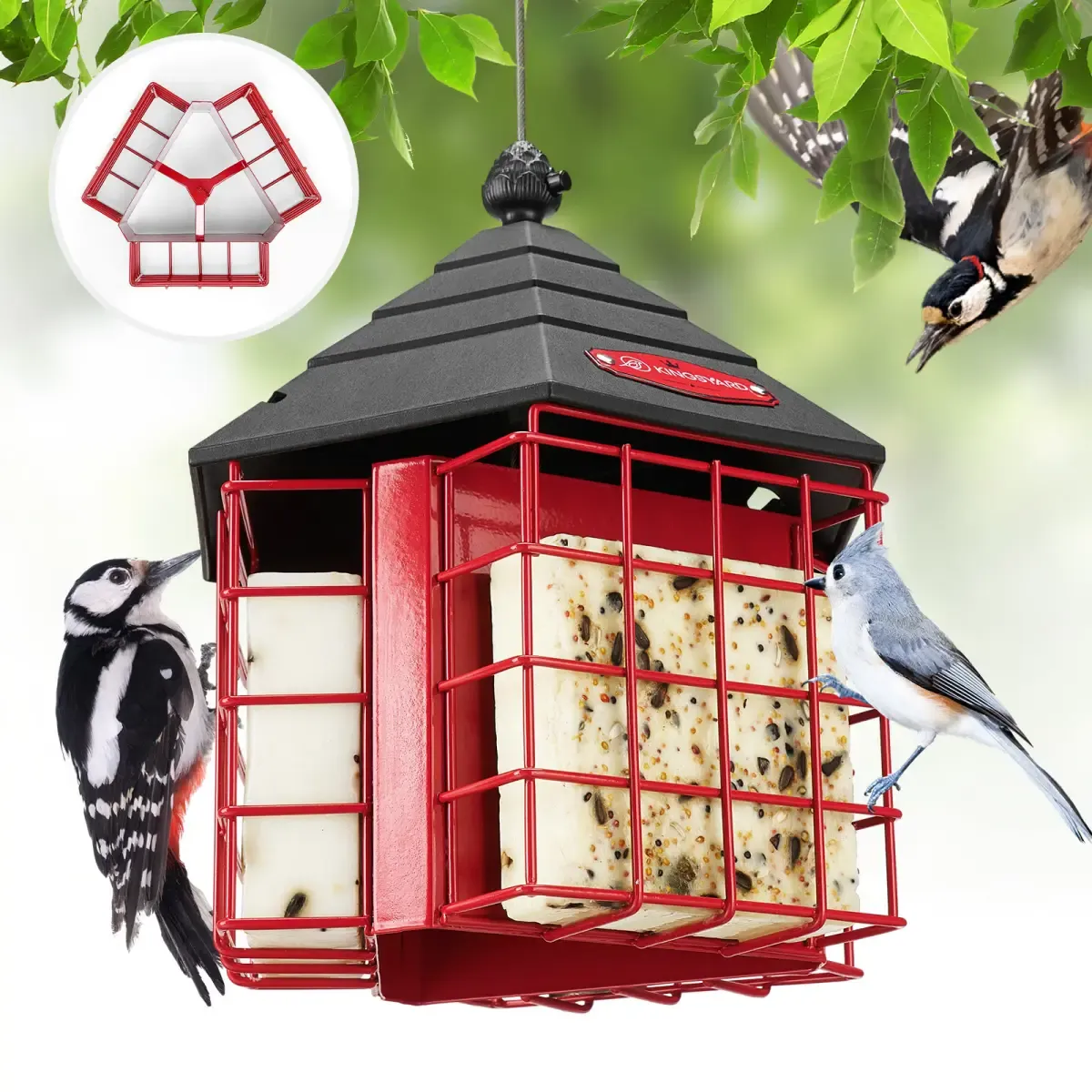 Kingsyard Metal Suet Bird Feeder with 3 Suet Cages 2 Kingsyard Metal Suet Bird Feeder with 3 Suet Cages 2