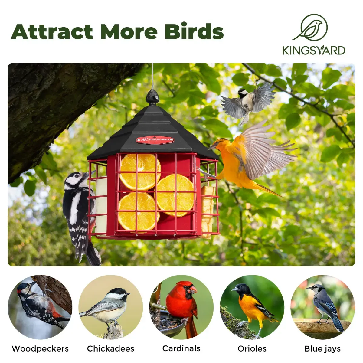 Kingsyard Metal Suet Bird Feeder with 3 Suet Cages 6 Kingsyard Metal Suet Bird Feeder with 3 Suet Cages 6