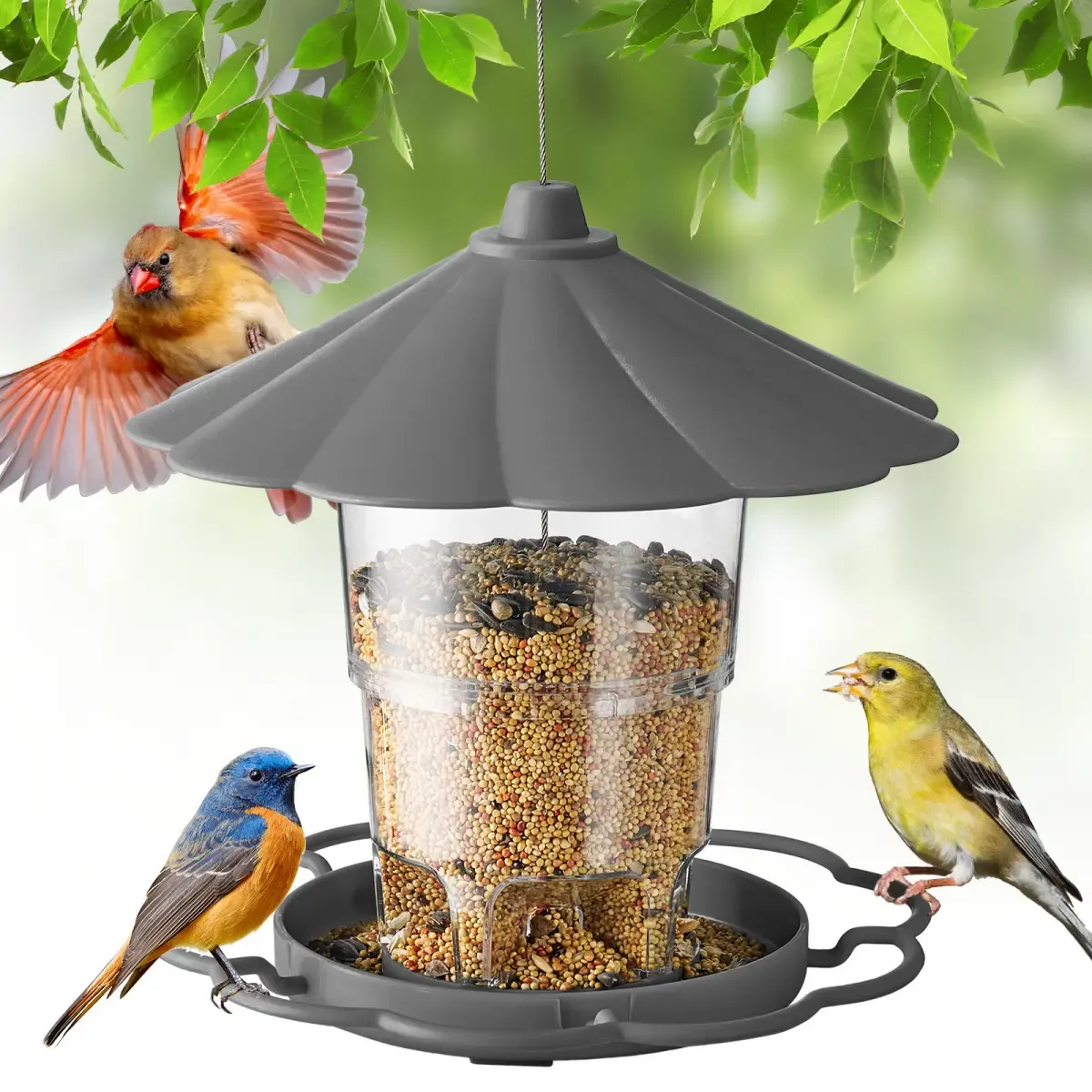 Kingsyard Squirrel Resistant 360 Degree Hopper Bird Feeder 2