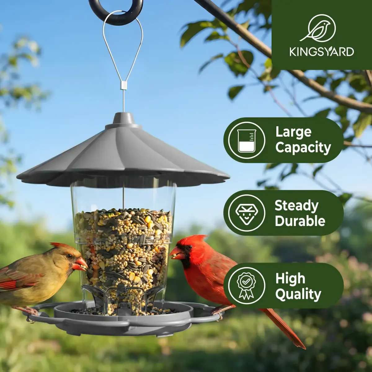 Kingsyard Squirrel Resistant 360 Degree Hopper Bird Feeder 7