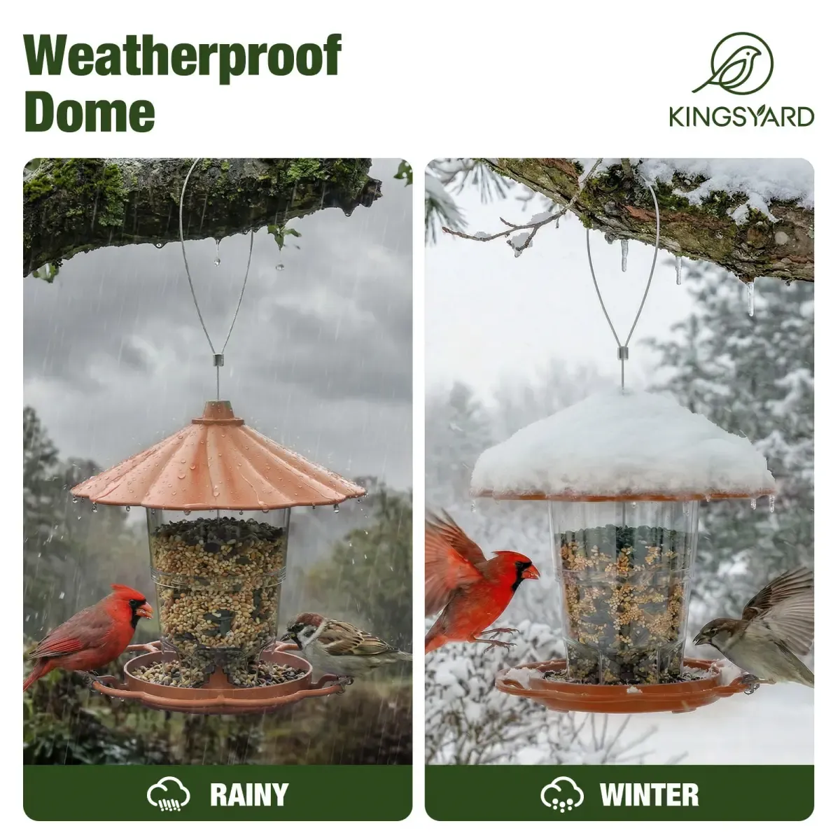 Brown Kingsyard Squirrel Resistant 360 Degree Hopper Bird Feeder 6