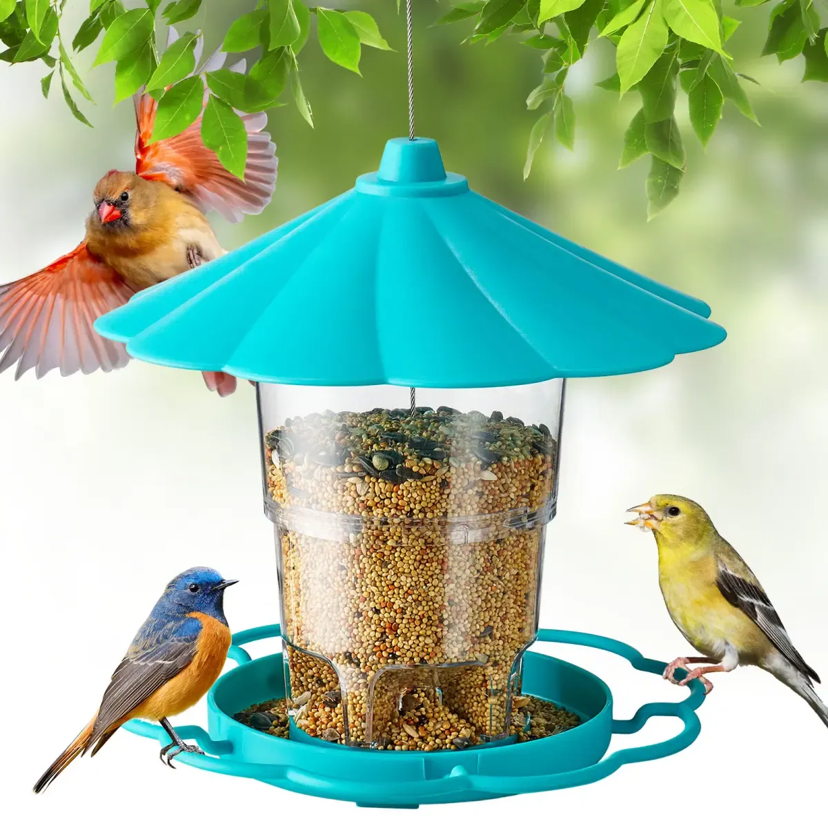 Blue Kingsyard Squirrel Resistant 360 Degree Hopper Bird Feeder 2