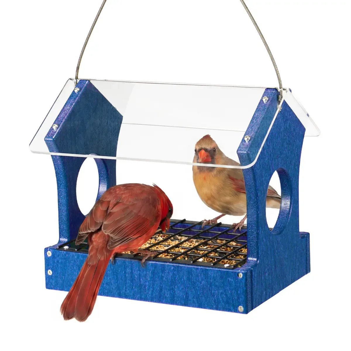 Kingsyard Rain-Resistant Elevated Perch Platform Bird Feeder 2