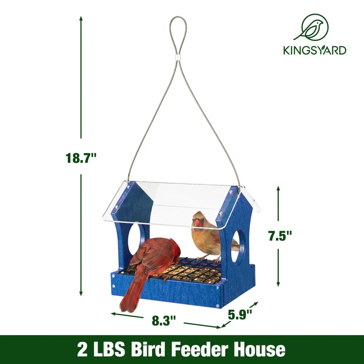 Kingsyard Rain-Resistant Elevated Perch Platform Bird Feeder 3