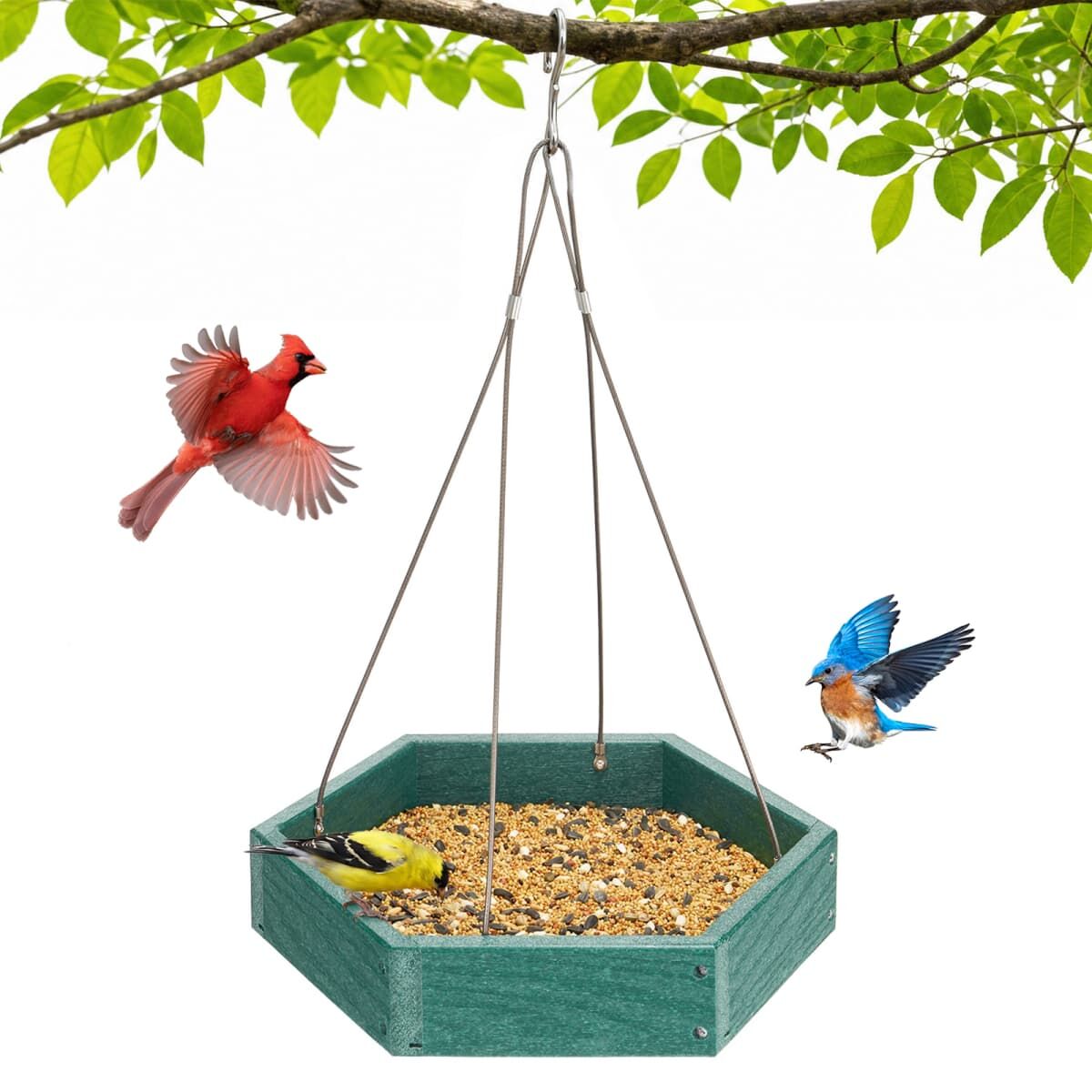 Kingsyard Recycled Poly Lumber Platform Bird Feeder 2 Kingsyard Recycled Poly Lumber Platform Bird Feeder 2
