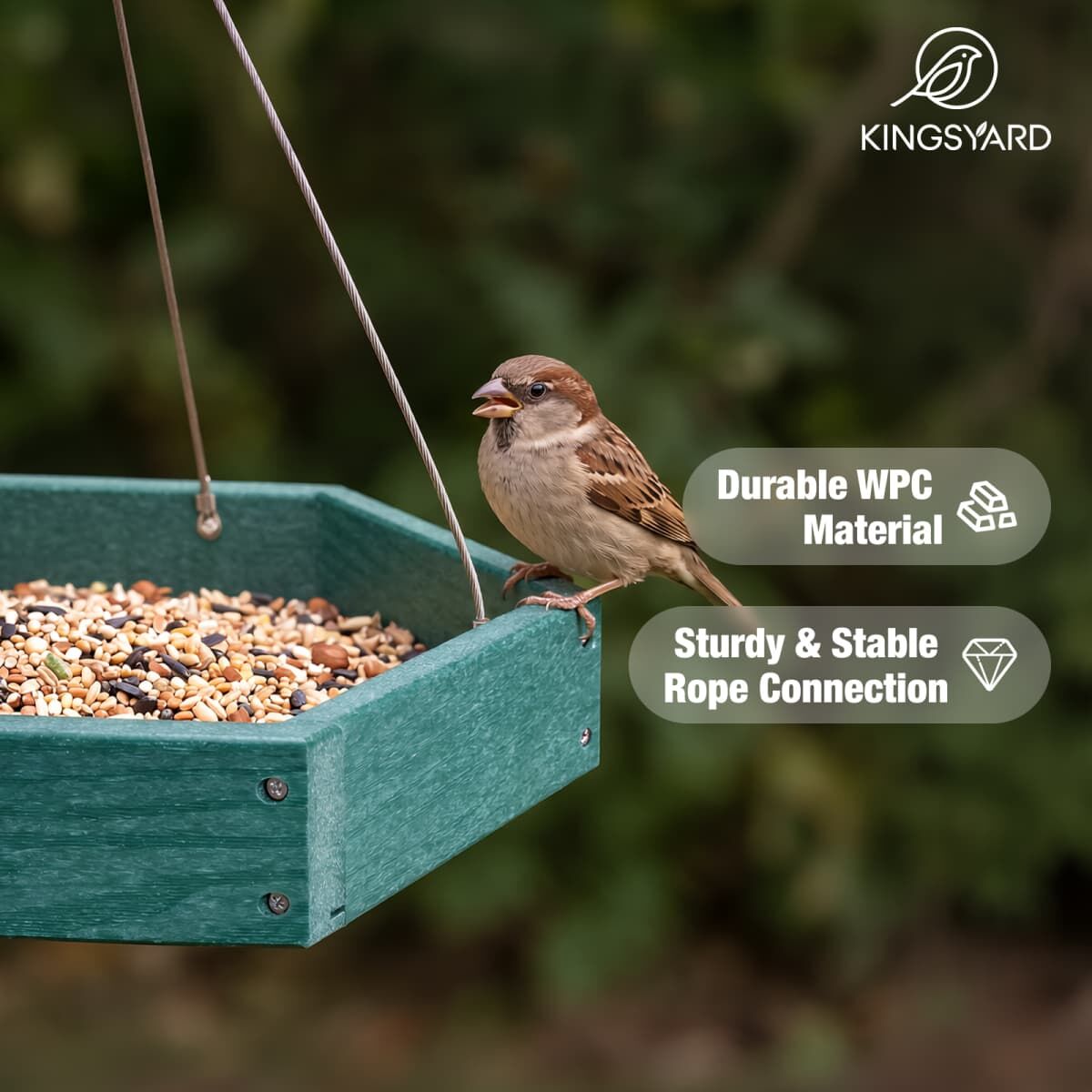 Kingsyard Recycled Poly Lumber Platform Bird Feeder 6 Kingsyard Recycled Poly Lumber Platform Bird Feeder 6